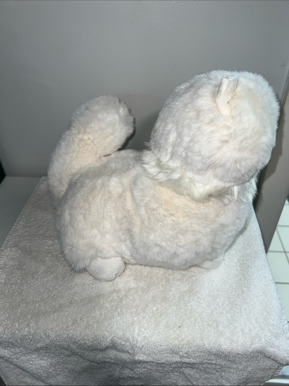 Jellycat i am Carissa Persian cat (retired) - Picture 5 of 9